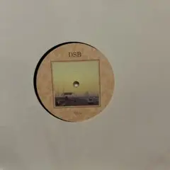 Slow Motion Replay 12inch