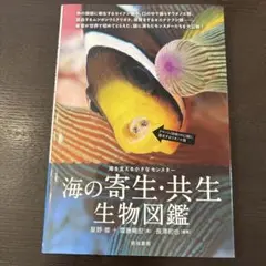 Item thumbnail for item 471552ca-0d69-497c-8f37-4e8ff177be2e