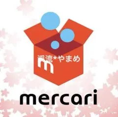 渓流*やまめ様專用