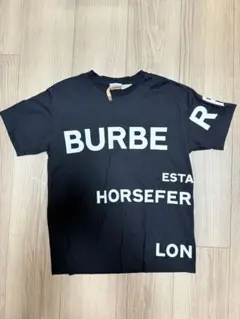 美良品&クリーニング済み　Burberry半袖Tシャツ