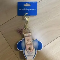 ディズニーリゾート