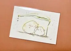 手描きポストカード　猫の雨宿り