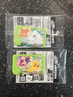 ポケモン　フレンダ　31