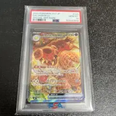 バウッツェルex sar psa10 最新ケース 246 バウッツェルex SAR PSA10 - メルカリ