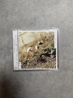 【CD】関取花　君によく似た人がいる