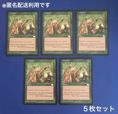 MTG みなぎる活力 Vitalize 英語版(５枚)