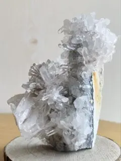 菊花水晶クラスター