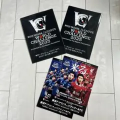 2冊】マリノス リヴァプールFC オフィシャル マッチデー プログラム