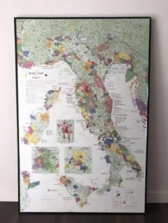 【INDEX付き】DE LONG Wine maps of the world