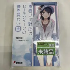 L-6 青春ブタ野郎はビーチクイーンの夢を見ない+