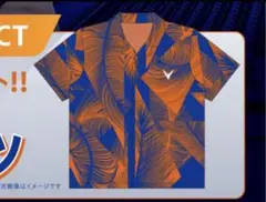 Item thumbnail for item 8042f656-f618-4fde-9eb2-ea6f20ab1e94