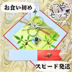お食い初め鯛飾りセット5044
