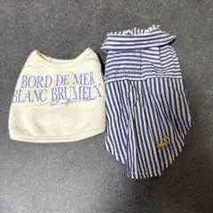 Item thumbnail for item d8a0f79a-2dc4-4d3a-97e4-69de5eaa2c93