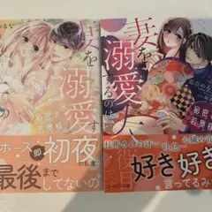 秘密の若奥様 妻を溺愛するのは夫の役目です 1、2巻