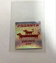 graniph グラニフ　福岡　ナガスギルイヌ　ステッカー