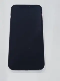 Apple iPhone 12 Pro 256GB パシフィックブルー
