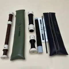 Item thumbnail for item a6a1f548-da60-4bb0-8034-c182b6d3cb89