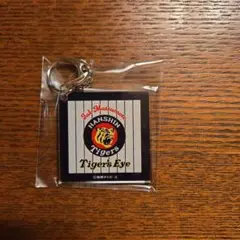 Item thumbnail for item fd443a1b-ce99-4eed-b803-d52d1dc16b09
