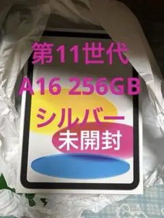 Apple iPad A16 WiFi 256GB シルバー