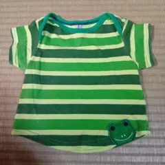 カエル　蛙　Tシャツ　緑　ストライプ　スーパーブーホームズ