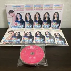 恋のプログラミング～ダメ男の見分け方～ DVD全１０巻セット