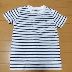 POLO RALPH LAUREN ストライプ Tシャツ 120cm