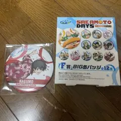 南雲　セガラッキーくじ　サカモトデイズ F賞 BIG缶バッジ