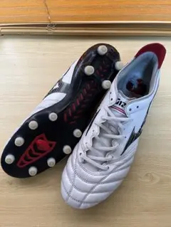サッカースパイク ミズノ モレリアネオ3
