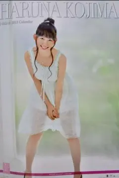 小嶋陽菜　2013年壁掛けカレンダー新品未開封☆