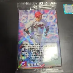 未開封 Amazon限定 プロ野球チップス カルビー カード 野間