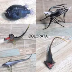 COLORATA カロラータ 立体図鑑 深海魚 5種 リアルフィギュア