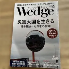 wedge 2025.2