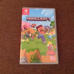 Minecraft Nintendo Switch♡マイクラ