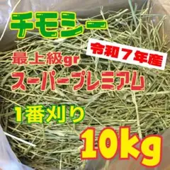 Item thumbnail for item 38bd4b38-fe75-4943-bc5f-209ac4ed427e