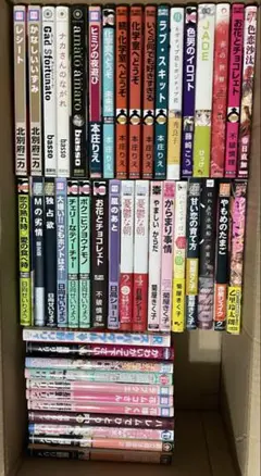 bl漫画まとめ売　45冊+Mの劣情　初版限定版1冊　ボーイズラブ