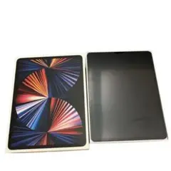 Apple iPad Pro 12.9インチ 第5世代 2TB スペースグレイ