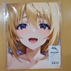 ア*オ様 不明 超大バスタオル・バスタオル•毛布 萌えタオル 不明 超大バスタオル・バスタオル•毛布 萌えタオル14 - メルカリ