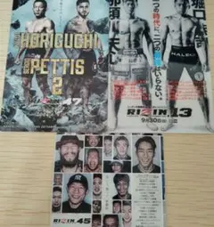 RIZIN ポテトスナック カード