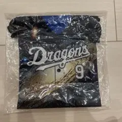 中日ドラゴンズ　昇竜
