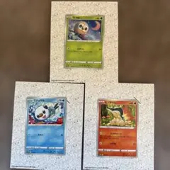 モクロー　ミジュマル　ヒノアラシ　ポケモンカード　プロモ