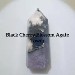 綺麗に花が咲いている夜桜瑪瑙のタワー