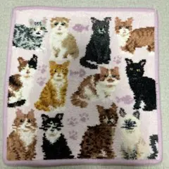 フェイラーハンカチタオルＢ品　 マイキュートキトゥン　ネコ