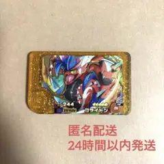 コライドン　レガシーピック　ポケモンフレンダ