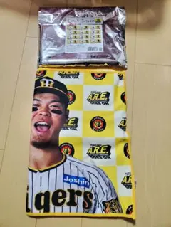 阪神タイガース　佐藤輝明