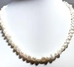 Item thumbnail for item 8aab0343-32b2-444f-a42e-cac98b61504c