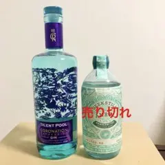 2025年最新】サイレントプールジンの人気アイテム - メルカリ
