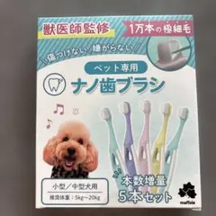 Item thumbnail for item 6e2fdd2a-7f56-48a2-b0e4-85302b3ab742