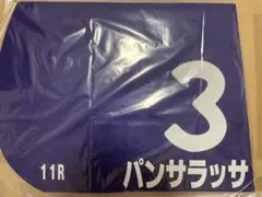 パンサラッサ 　レプリカゼッケン　天皇賞・秋