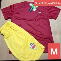 Item thumbnail for item 7c97cfe6-2291-401e-966f-dd5122a9a085