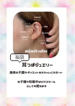 福袋!耳ツボジュエリー4シート(80粒)2900円